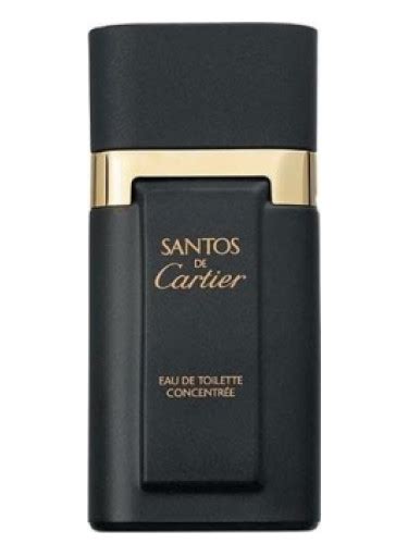 santos cartier parfum|cartier santos concentree.